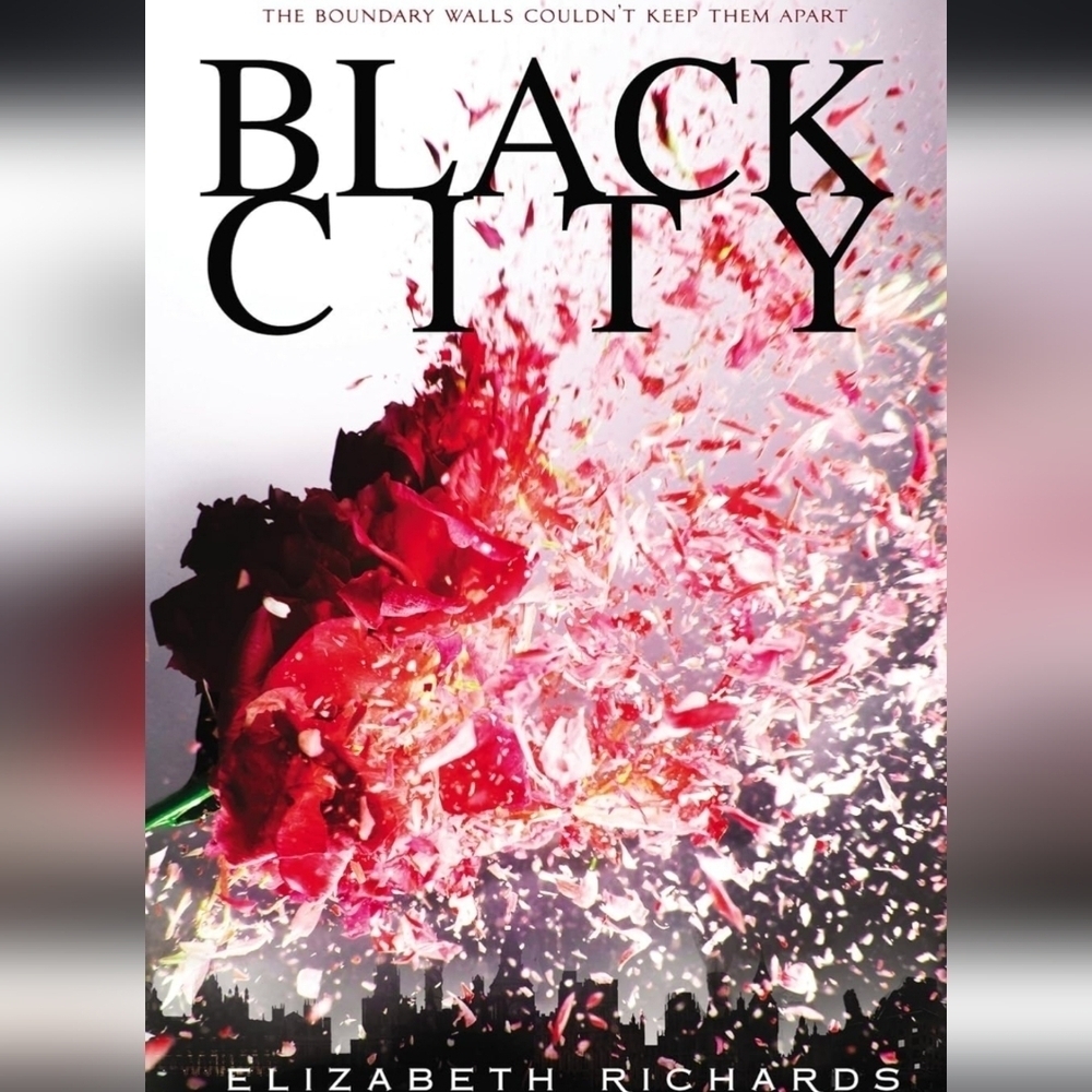 Elizabeth RichardsBlack City (A Black City Novel) by Richards, Elizabeth